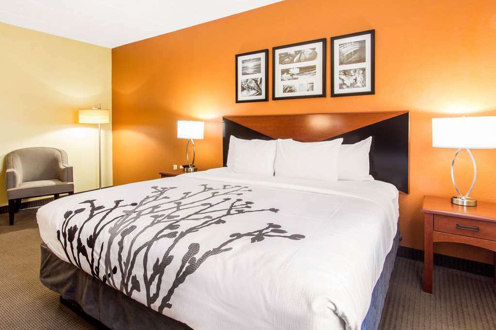 Comfort Inn & Suites Wildwood - The Villages Rum bild